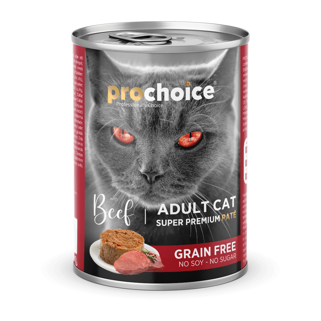 Wet food Beef