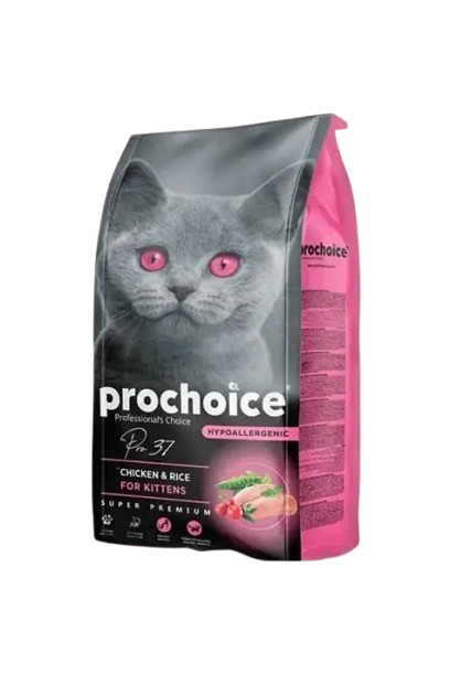 Prochoice Kitten