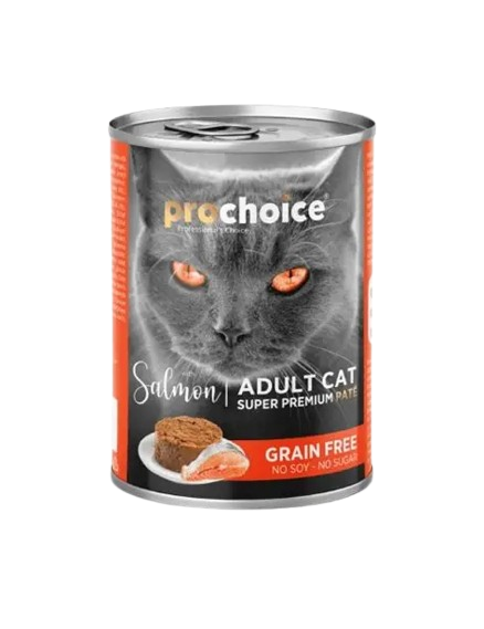 Wet food Salmon
